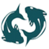 pisces